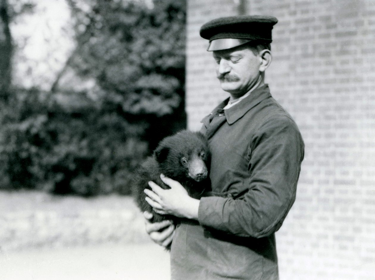 Egy Keeper egy lajhármedve kölyköt tart a londoni állatkertben, 1921 augusztusában alkotó: Frederick William Bond