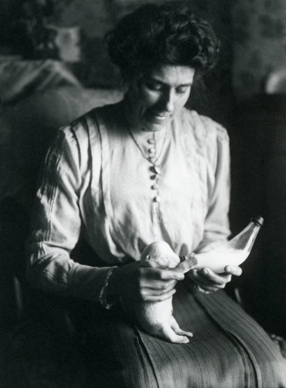 Egy állattartó felesége üvegből etet egy újszülött Jegesmedve kölyköt, Londoni Állatkert, 1914 körül alkotó: Frederick William Bond