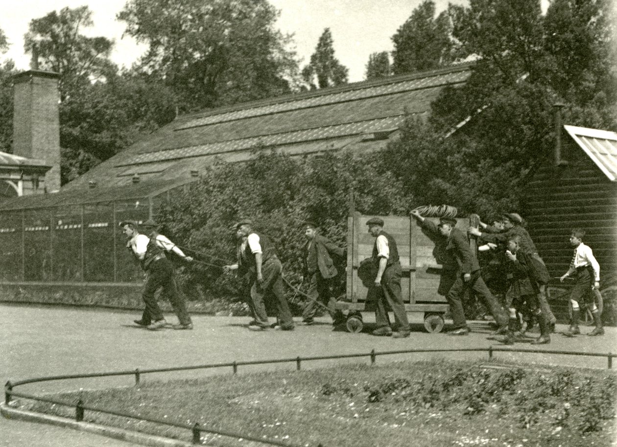 Egy csapat férfi mozgatja a leopárdot egy faládában, őket két fiú követi, Londoni Állatkert, 1922 (fekete-fehér fotó) alkotó: Frederick William Bond