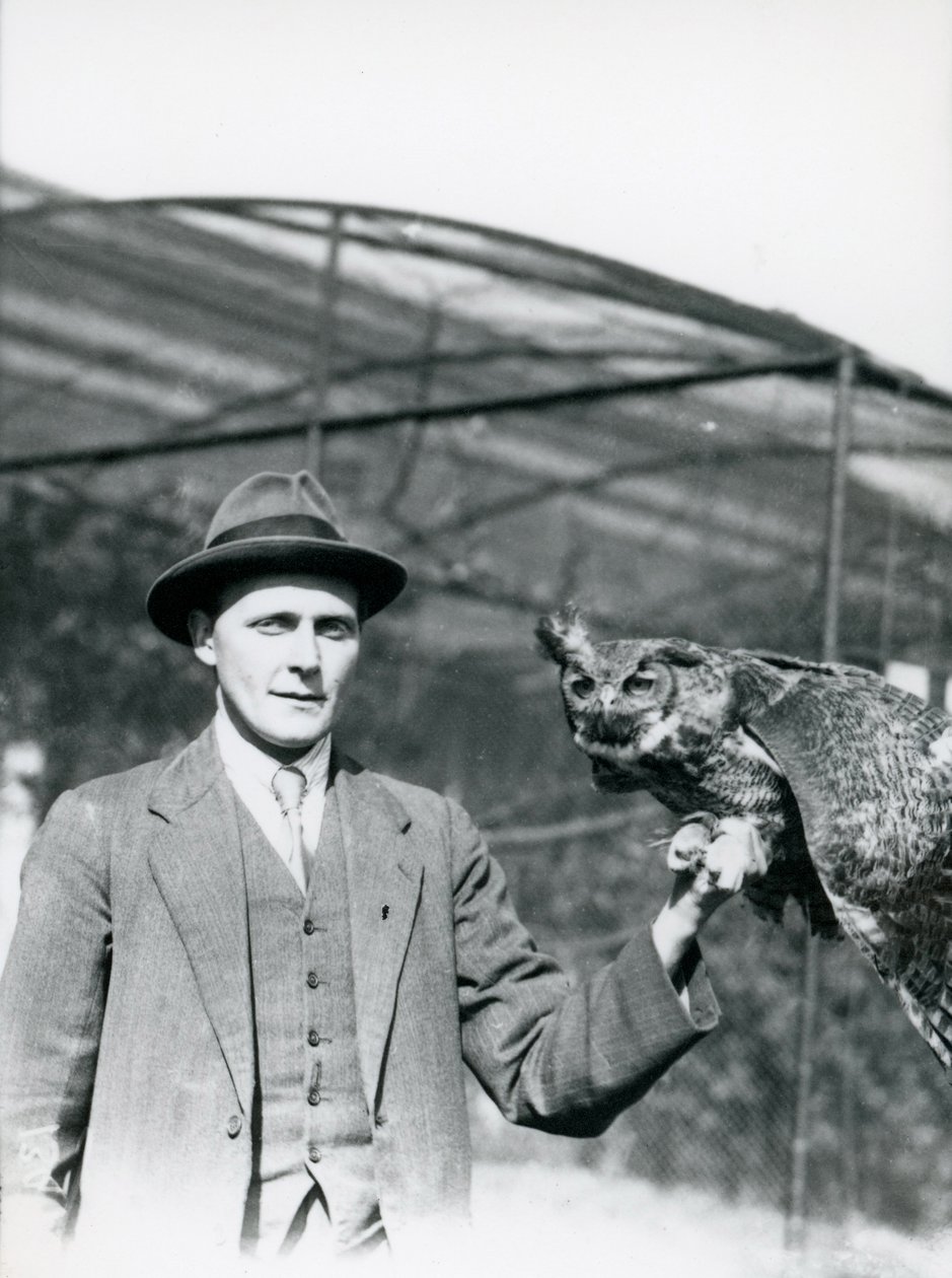 J. Bailey, a londoni állatkert madarak felügyelője harminc éve tart egy sasbagolt. 1920. június alkotó: Frederick William Bond