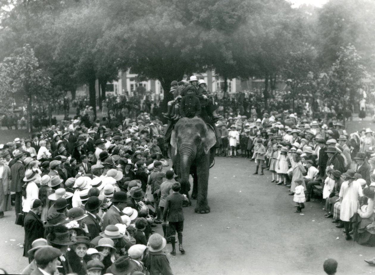 Látogatók tömegei néznek elefántlovaglást a londoni állatkertben, 1922 augusztusi munkaszüneti napján alkotó: Frederick William Bond