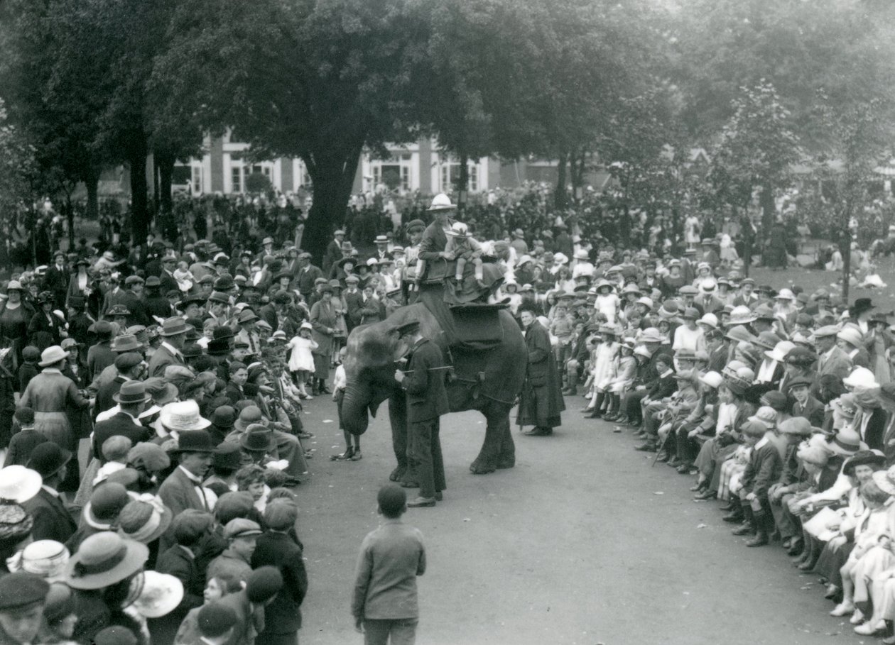 Látogatók tömegei nézik az elefántlovaglást a londoni állatkertben, 1922. augusztusi banki ünnepnapon alkotó: Frederick William Bond