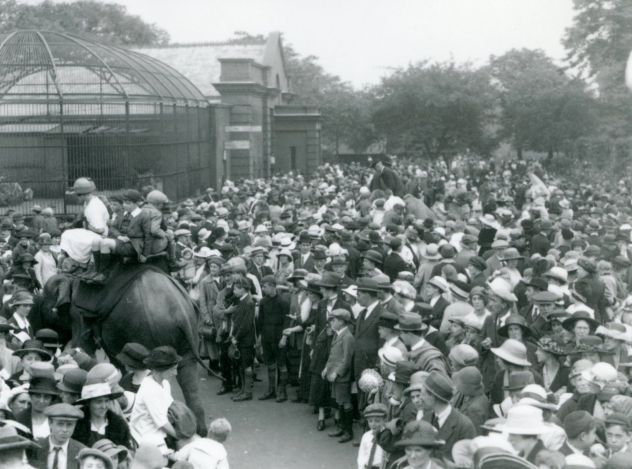 Látogatók tömegei nézik az elefántlovaglást a londoni állatkertben, 1922. augusztusi banki ünnepnapon alkotó: Frederick William Bond