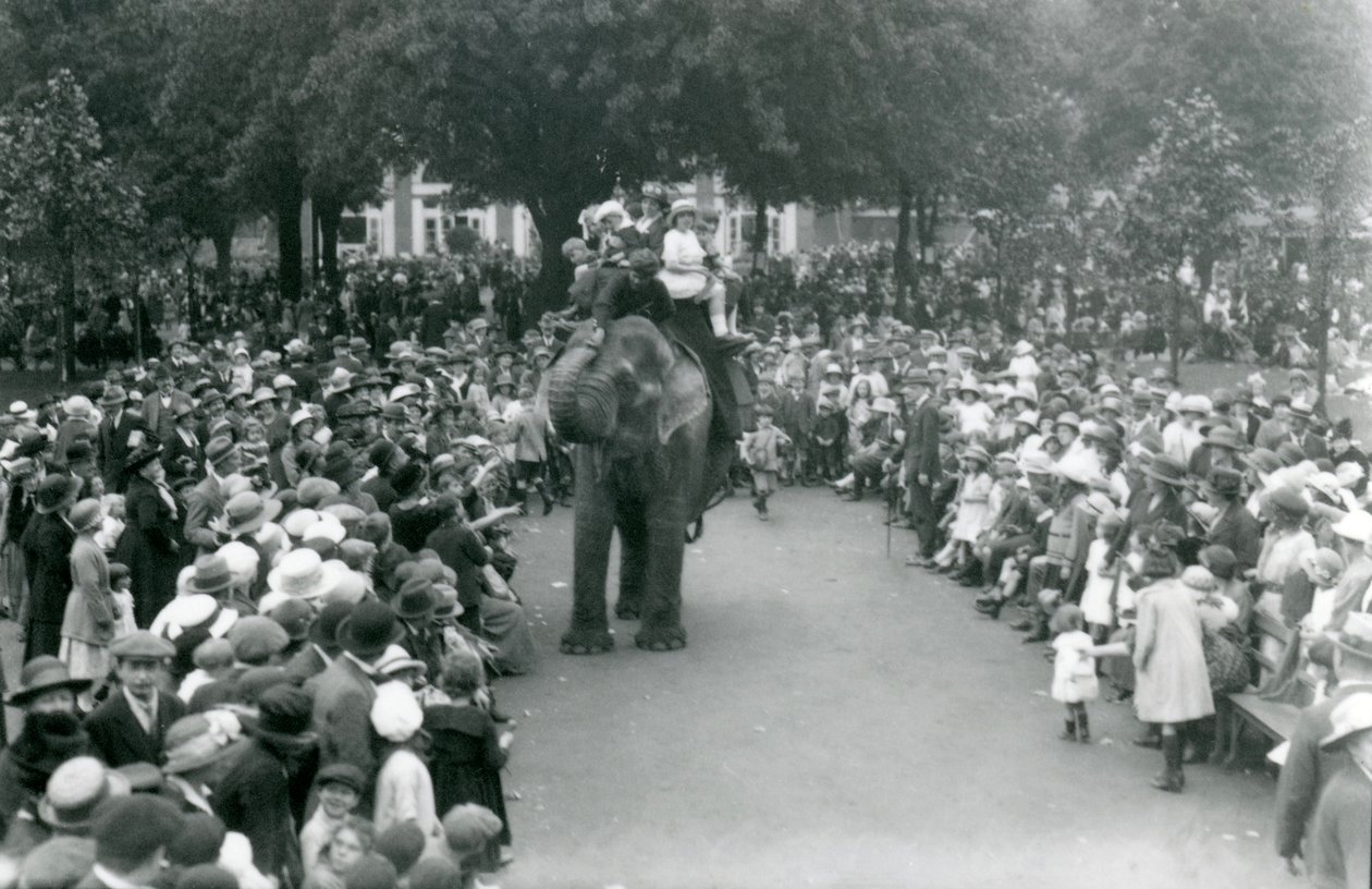 Látogatók tömegei néznek elefántlovaglást a londoni állatkertben, 1922 augusztusi munkaszüneti napján alkotó: Frederick William Bond