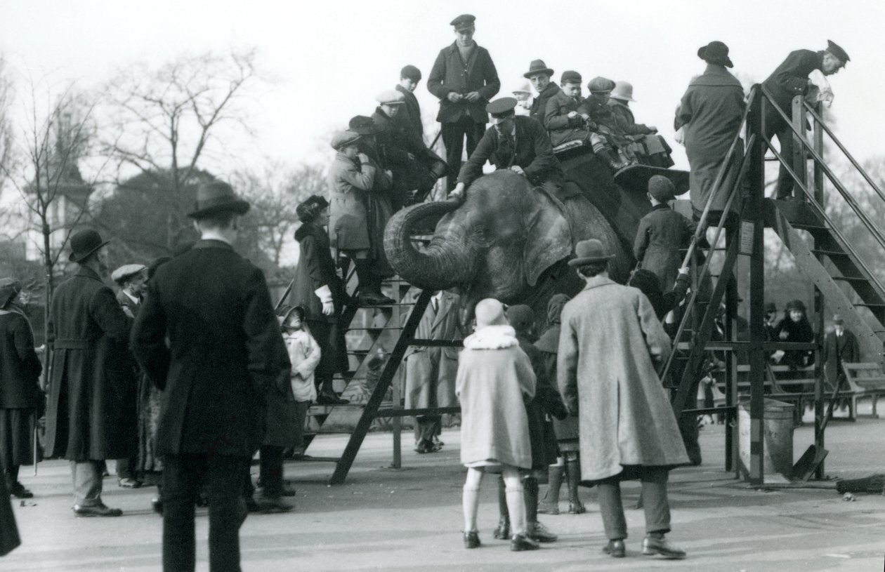 Tömegek figyelik az elefántlovaglásra induló látogatókat, Arthur Church gondozó felügyelete alatt, 1923. április (bw fotó) alkotó: Frederick William Bond