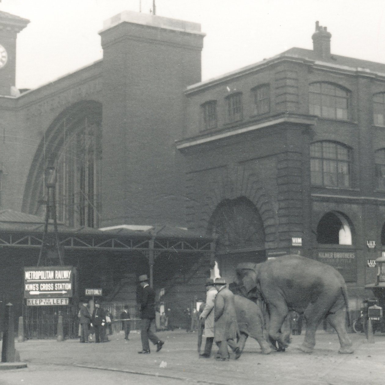 Elefántok sétálnak a dokkoktól a Kings Cross állomás mellett a ZSL London Zoo felé, 1927 szeptembere. alkotó: Frederick William Bond