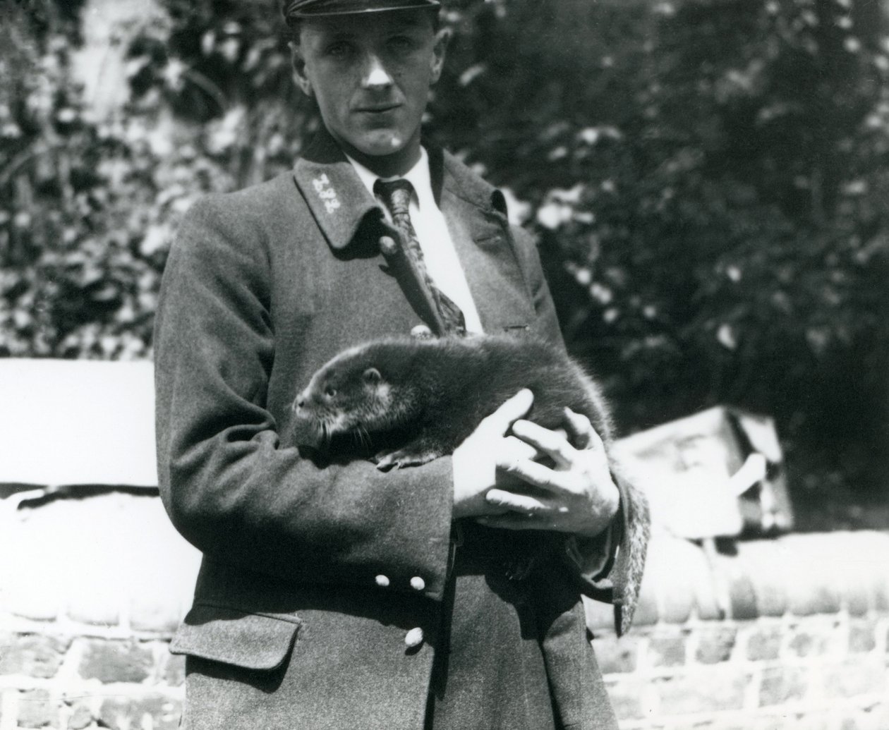 Leslie Martin Flewin állattartó egy vidra kölyköt tart a karjában a londoni állatkertben, 1922. június alkotó: Frederick William Bond