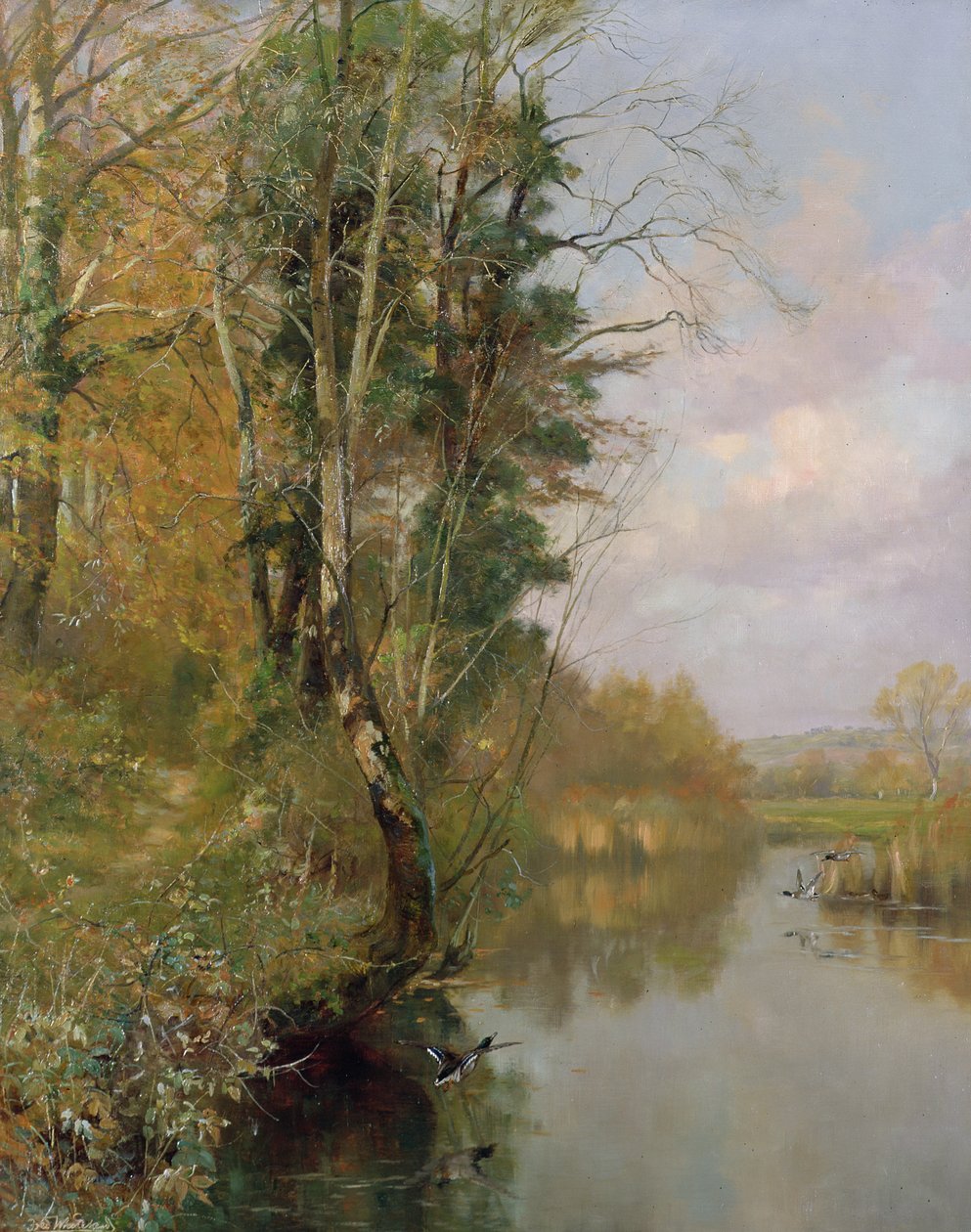 The River Frome, Morton nr Dorchester, 1901 alkotó: Frederick William Newton Whitehead