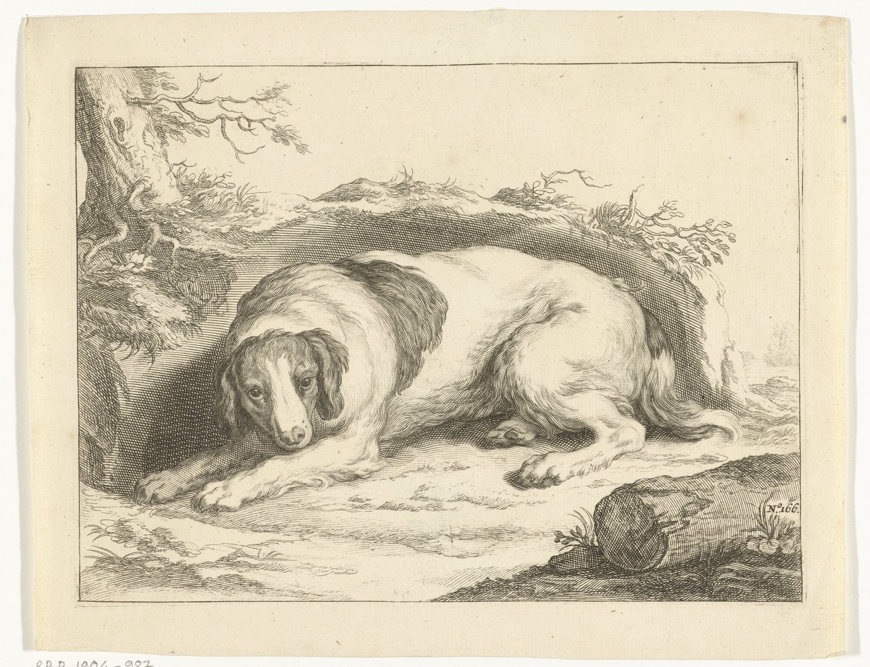 spániel Abraham Bloemaert rajzkönyve (sorozat címe) alkotó: Frederick Bloemaert