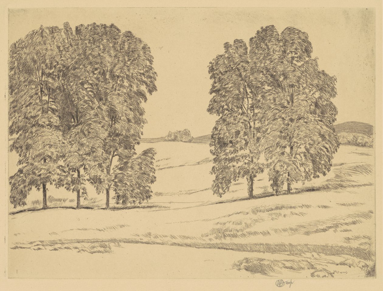 Hickories in a Hayfield, 1917. alkotó: Frederick Childe Hassam
