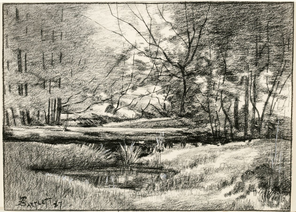 Medence az Adirondacks-ben alkotó: Frederick Eugene Bartlett
