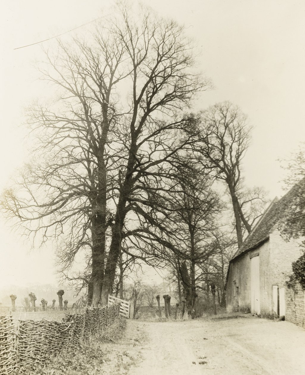Kelmscott Manor: Kelmcott Kelmancott: út és bejárat alkotó: Frederick H. Evans