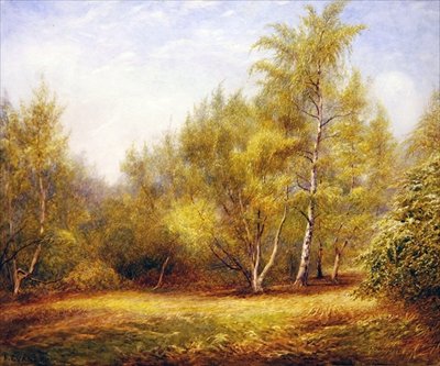 Epping-erdő a Buckhurst Hill közelében (akvarell papíron) alkotó: Frederick Henry Evans