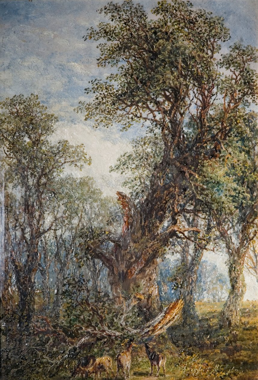 A törött ág, 1881. alkotó: Frederick Henry Henshaw