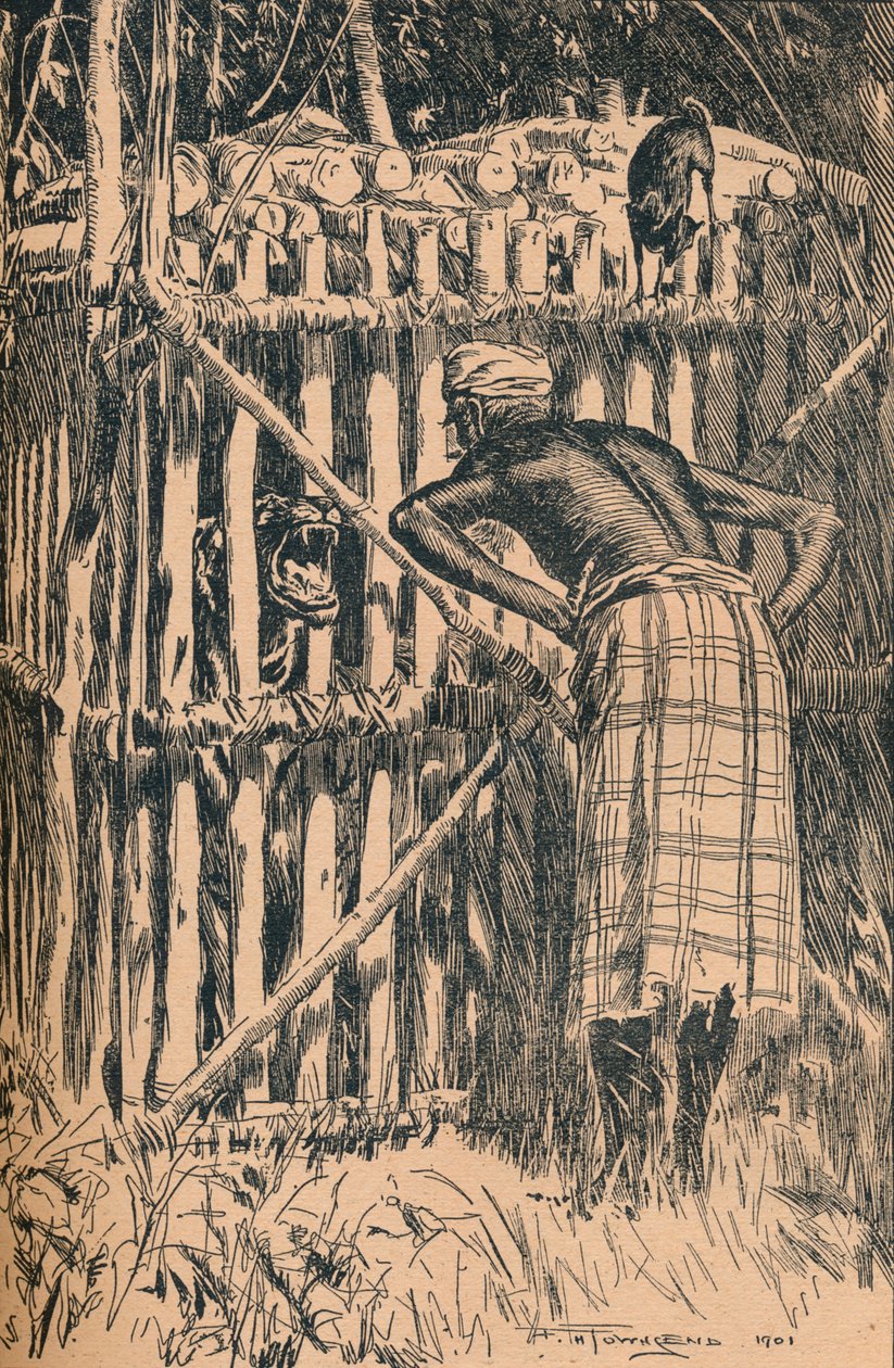 Illusztráció Skeats mesékhez és népmesékhez egy keleti erdőből, 1901 alkotó: Frederick Henry Townsend