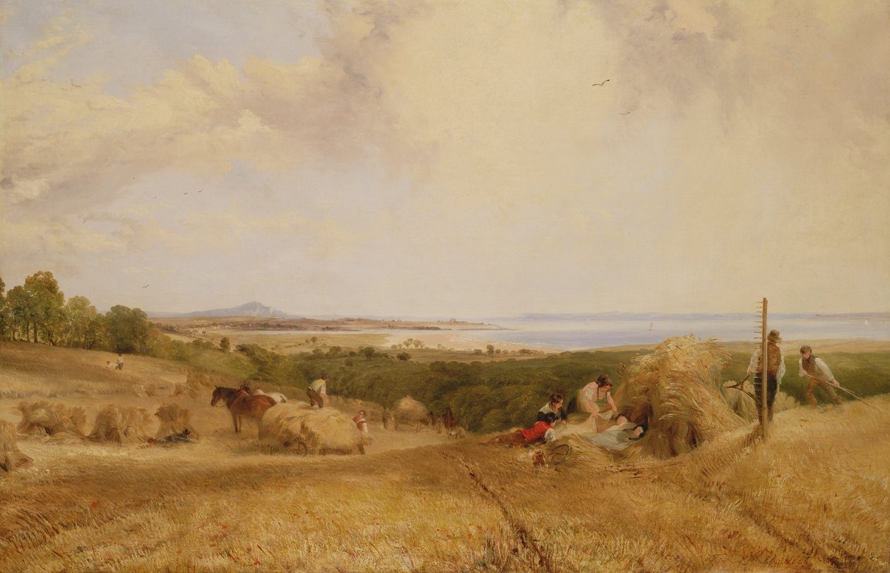 Az aratási mező, 1846 alkotó: Frederick Richard Lee