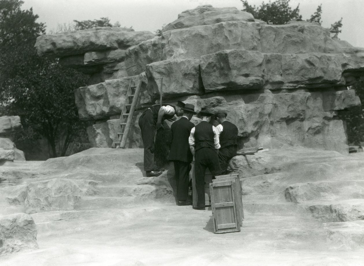 Egy csoport állattartó, aki kipakolja a szent páviánokat a londoni állatkert „Monkey Hill” sziklái között alkotó: Frederick William Bond