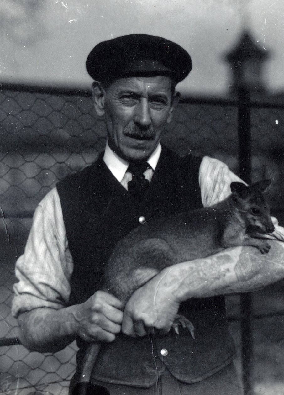Egy állattartó falkabát tart, 1920. október (f/w fotó) alkotó: Frederick William Bond