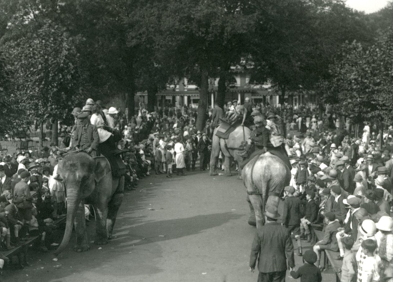 Elephant Rides, három ázsiai elefánttal, akiket bámészkodók tömegei figyeltek a londoni állatkertben 1926 augusztusában (f/w fotó) alkotó: Frederick William Bond