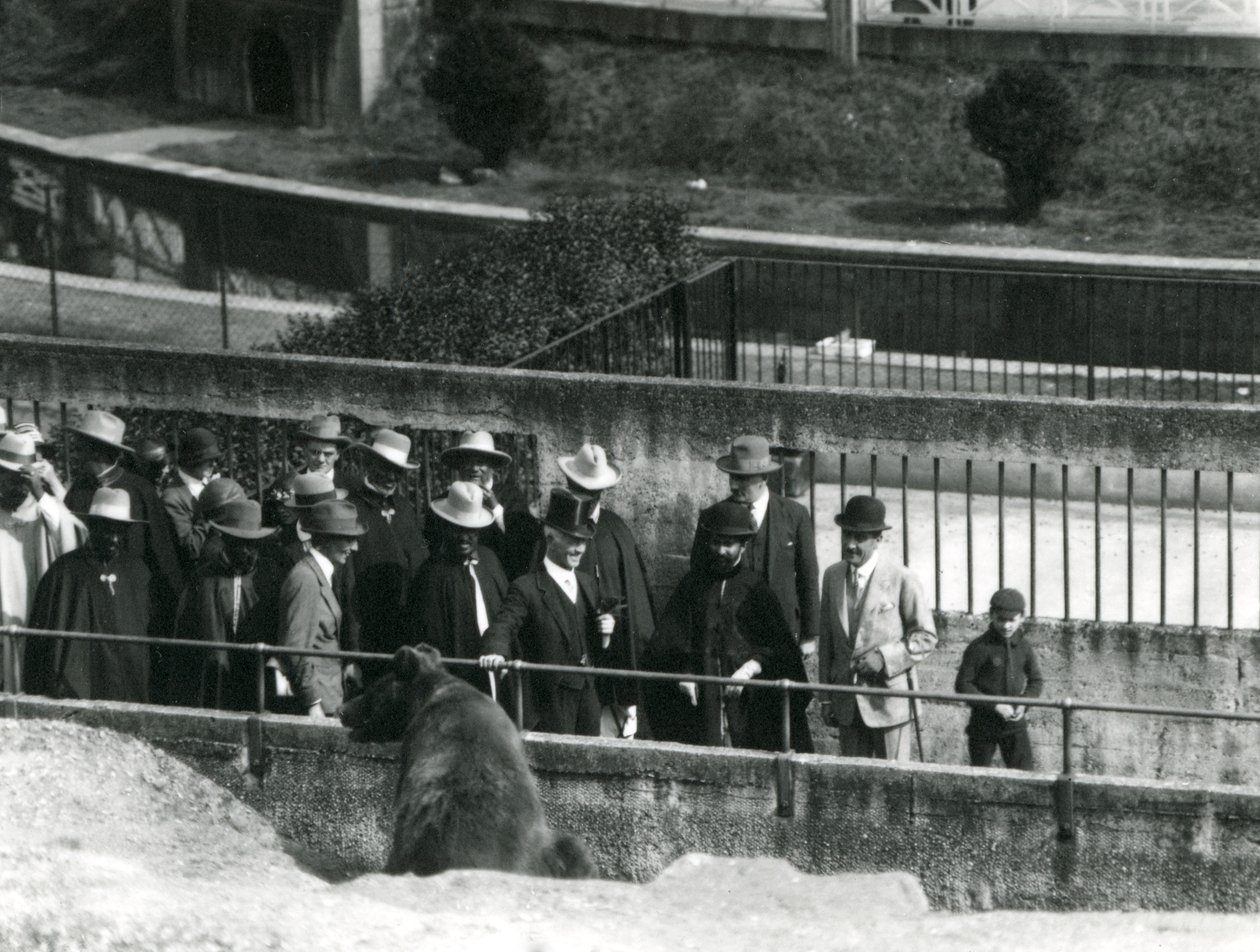 Sir Peter Chalmers Mitchell Haile Selassie etióp régenssel és kíséretével egy barna medvét nézeget a Mappin Terraces-en, London Állatkertben, 1924 alkotó: Frederick William Bond