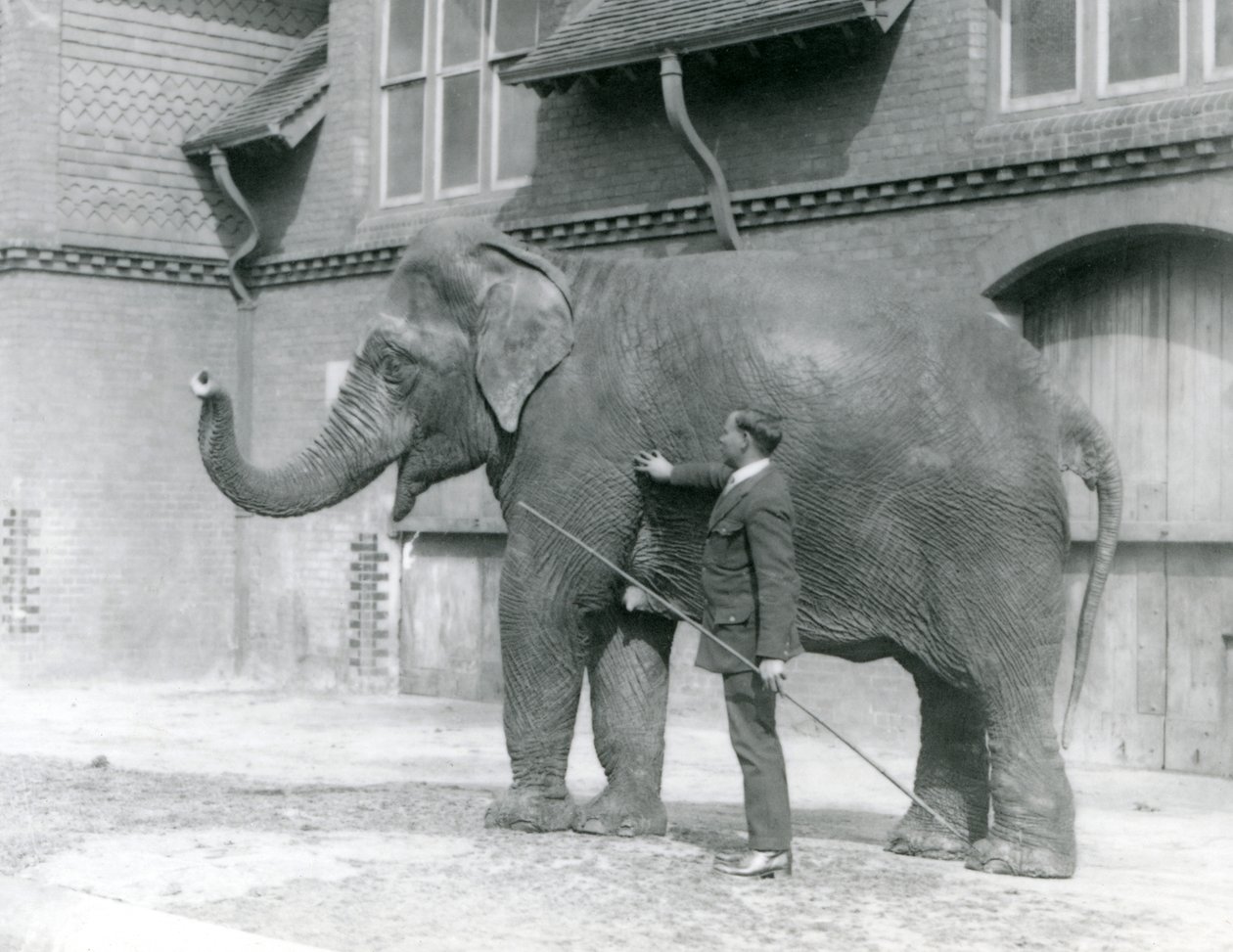Syed Ali, Indianit oktatja az Elephant House előtt, a londoni állatkertben, 1923. augusztus (bw fotó) alkotó: Frederick William Bond