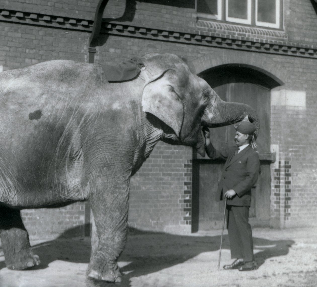 Syed Ali Indianit oktatja az Elephant House előtt, a londoni állatkertben, 1925. október alkotó: Frederick William Bond