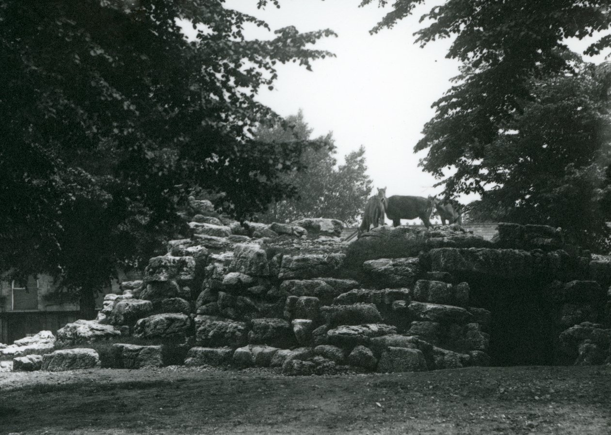 Az ElandAntelope Paddock a londoni állatkertben 1924 júniusában alkotó: Frederick William Bond