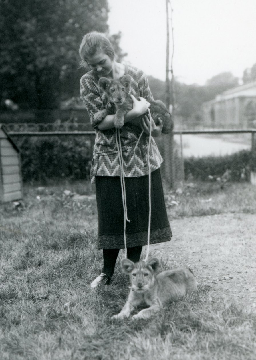 Két oroszlánkölyök egy fiatal nővel a londoni állatkertben 1925 augusztusában alkotó: Frederick William Bond