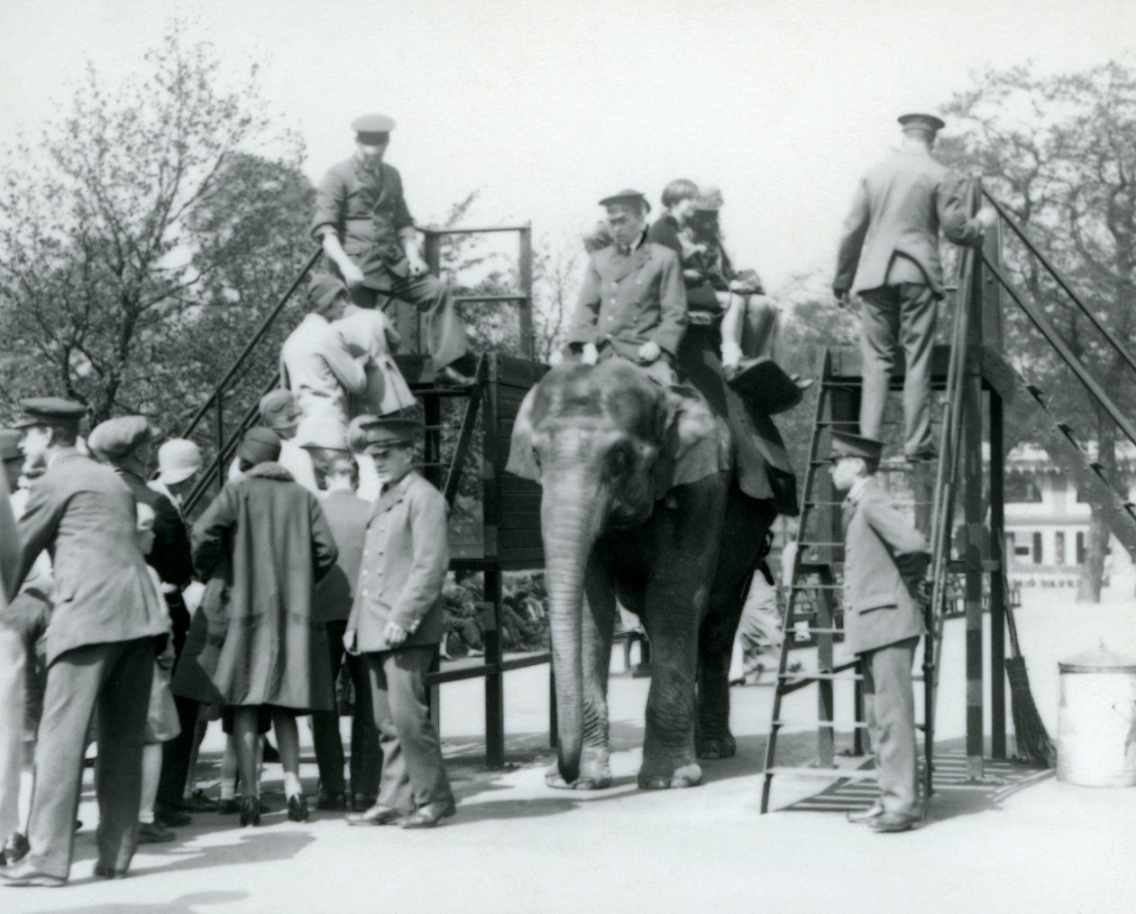 A látogatók sorban állnak az elefántlovaglásért, míg mások elindulnak, öt állattartó segítségével, Londoni Állatkert, 1927 alkotó: Frederick William Bond
