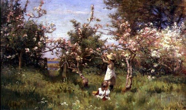 Blossom összegyűjtése alkotó: Frederick William Jackson