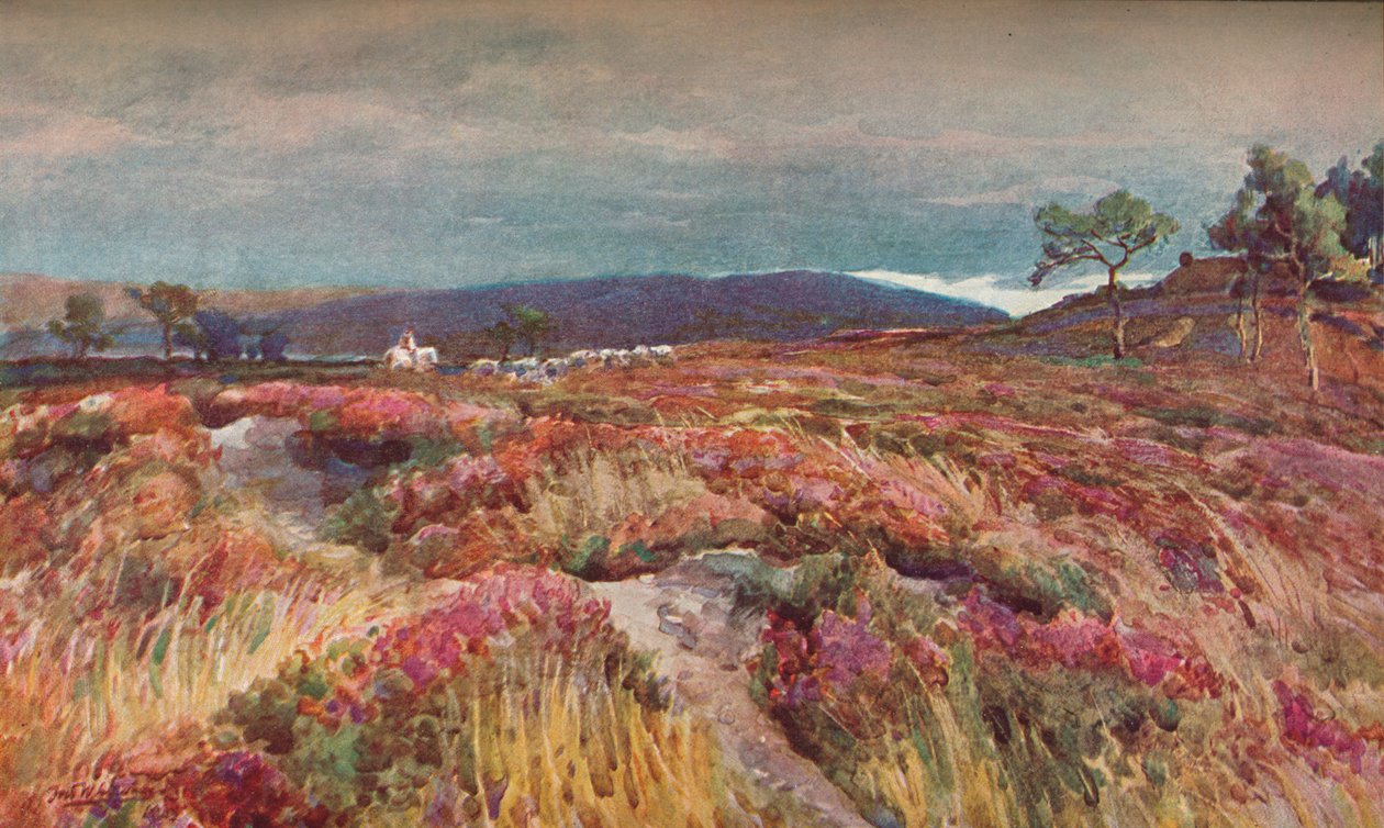On The Heath Lytchett Minster, 1904 alkotó: Frederick William Newton Whitehead
