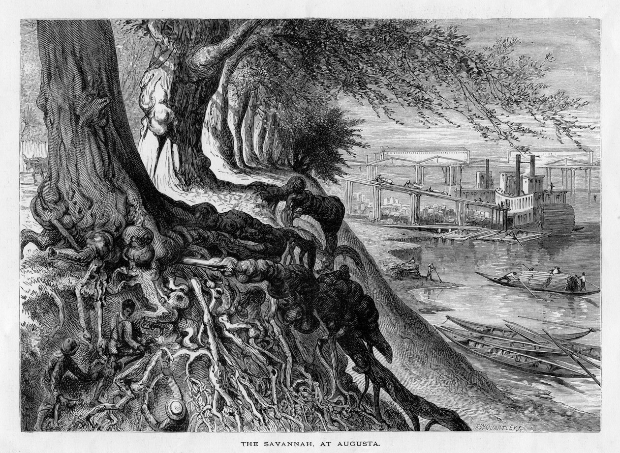„The Savannah, at Augusta”, 19. század alkotó: Frederick William Quartley