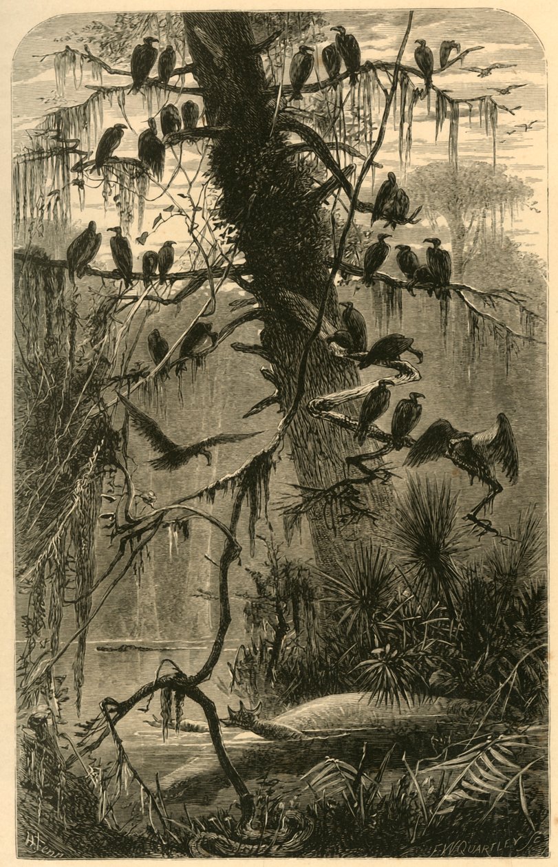 „Várakozás a bomlásra”, 1872. alkotó: Frederick William Quartley