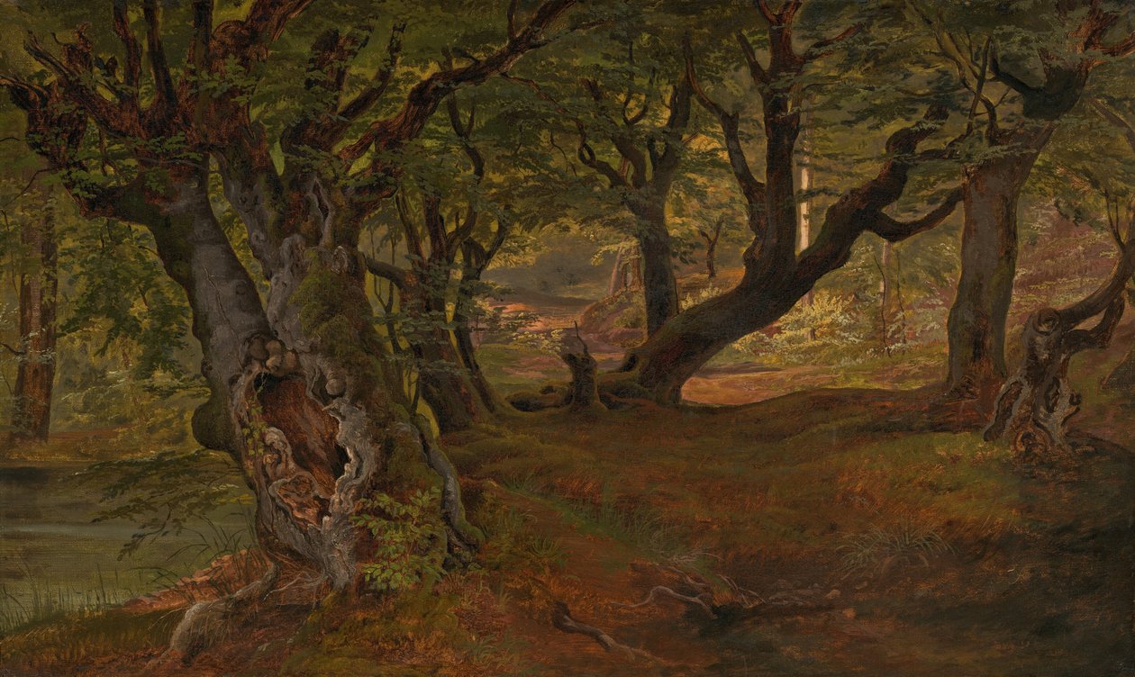 Kilátás a Bregentved-erdőre, Sjaelland, 1830-as évek közepe. alkotó: Frederik Sødring