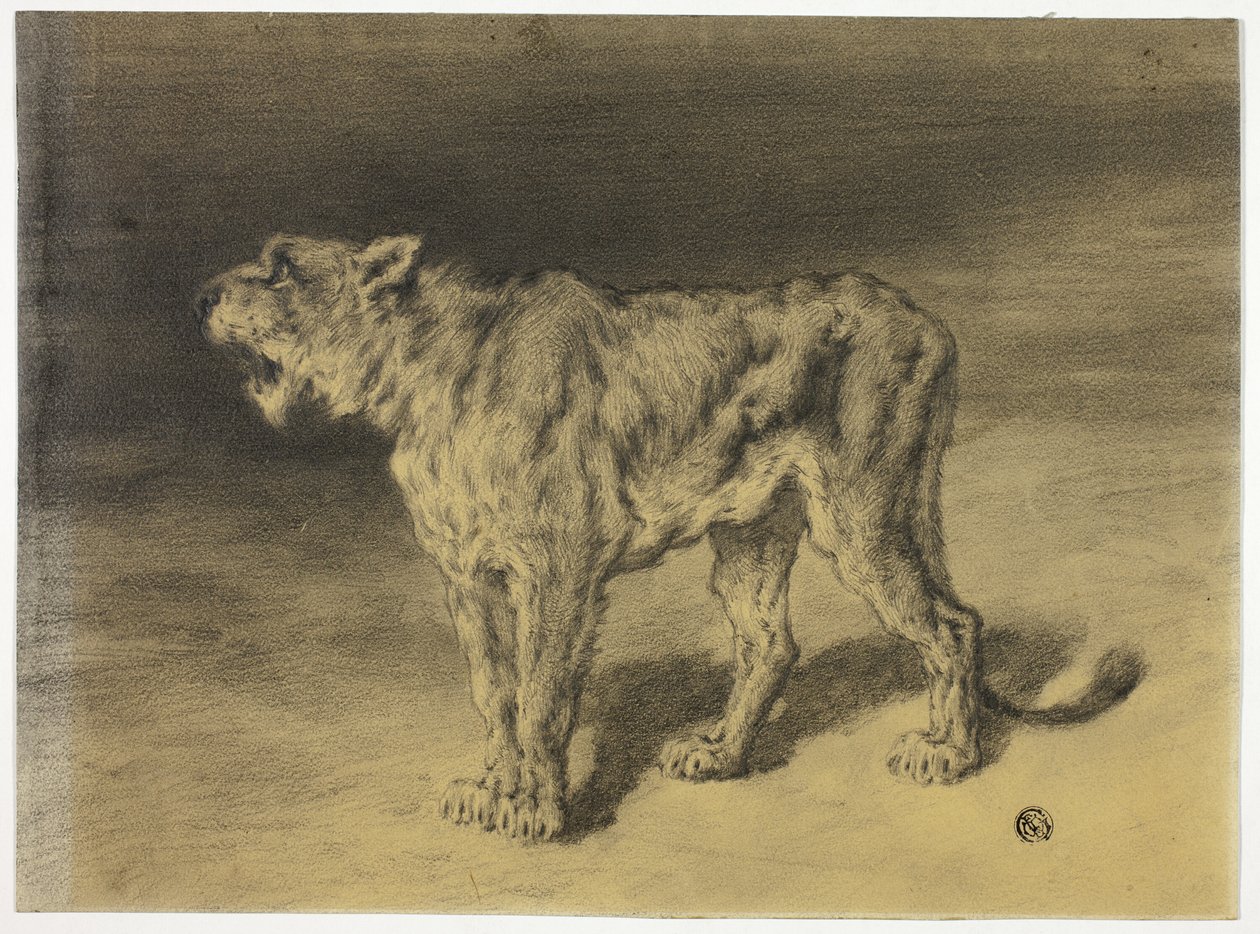 Oroszlány üvöltés alkotó: Frederik William Zurcher