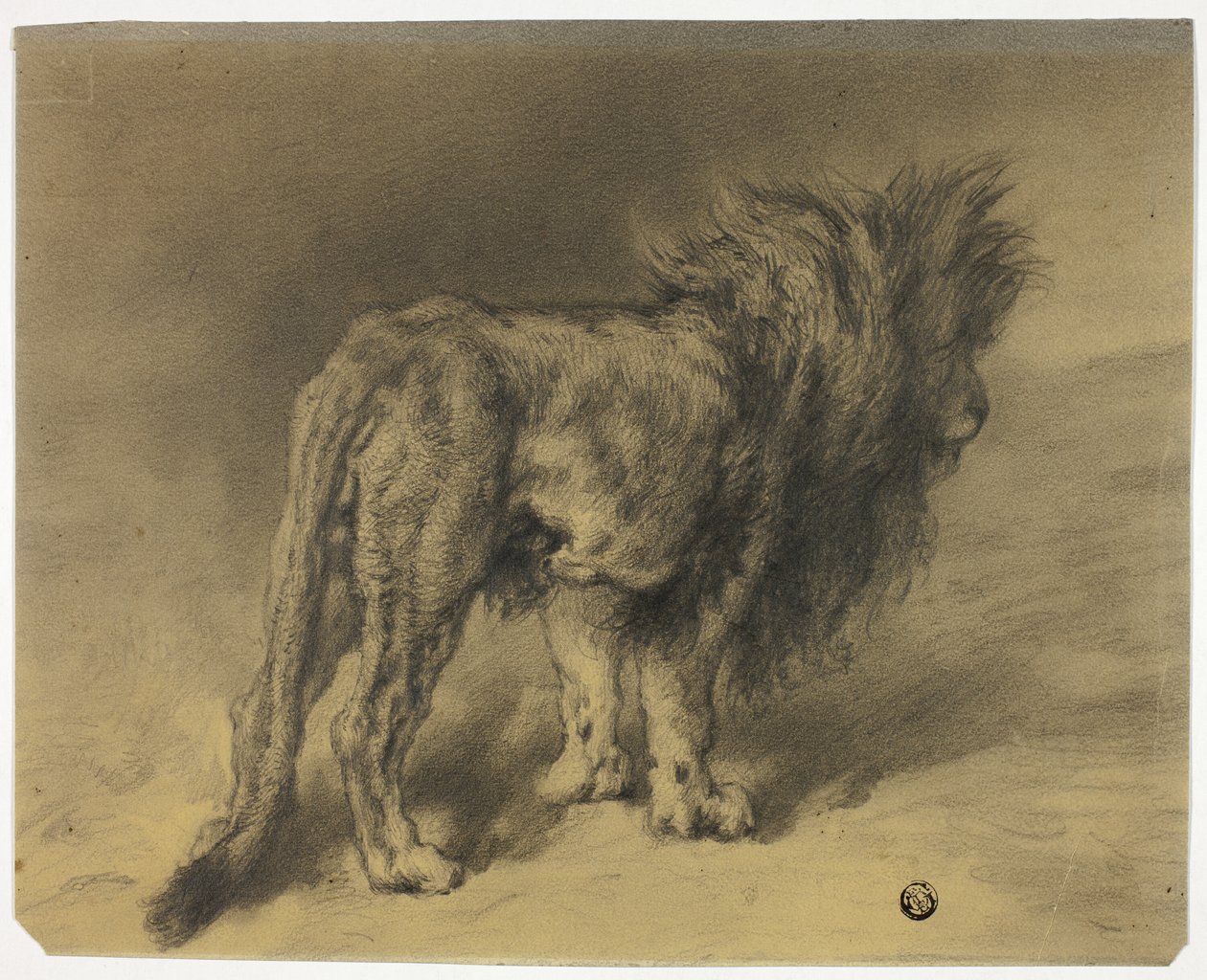 Álló oroszlán bozontos sörénnyel alkotó: Frederik William Zurcher