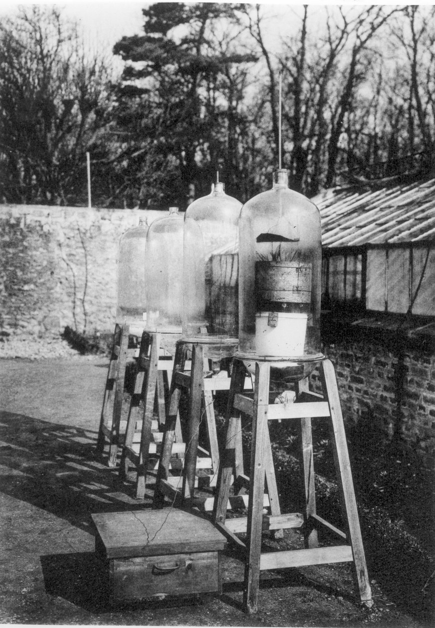 Az 1930-ban kiadott, a College de France 400 évéről szóló könyvből (bw ph) az atmoszférikus nitrogént tanulmányozták a meudoni Marcellin Bertholet állomáson, elektromosság hatására. alkotó: French Photographer