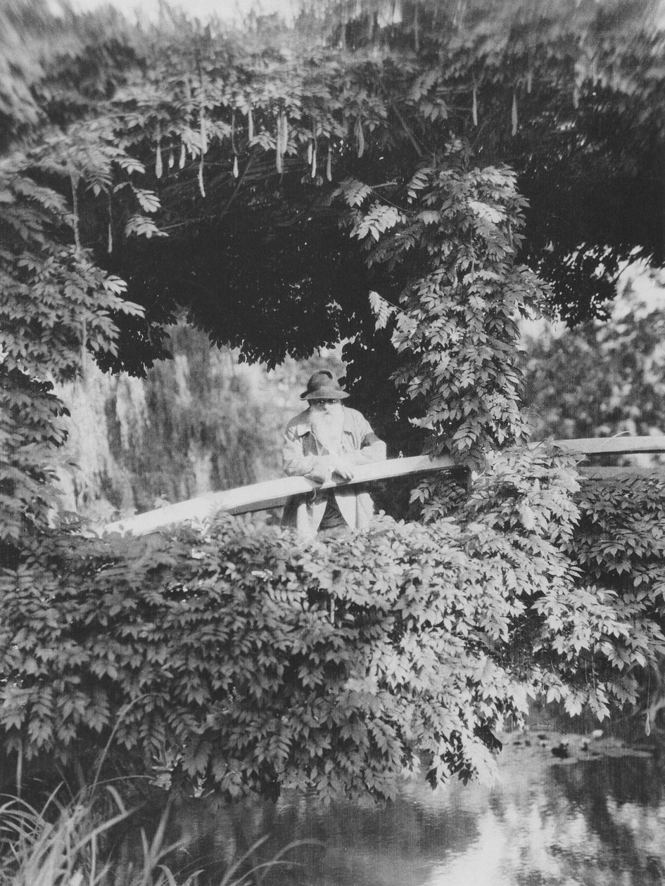 Claude Monet (1841-1926) a Japán hídon a giverny-i kertjében alkotó: French Photographer