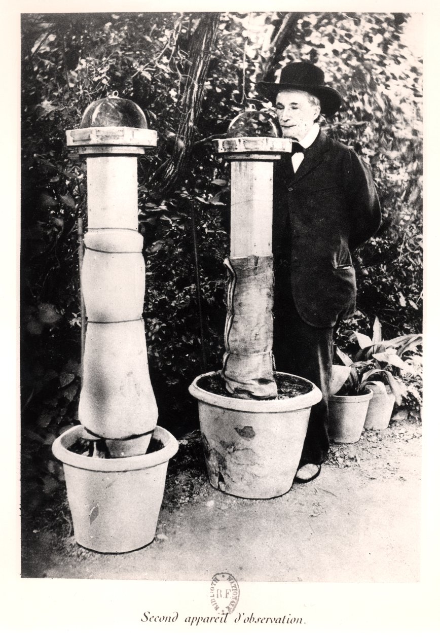Jean-Henri Fabre (1823-1915) a Souvenirs Entomologiques-ból, 1924-ben alkotó: French Photographer