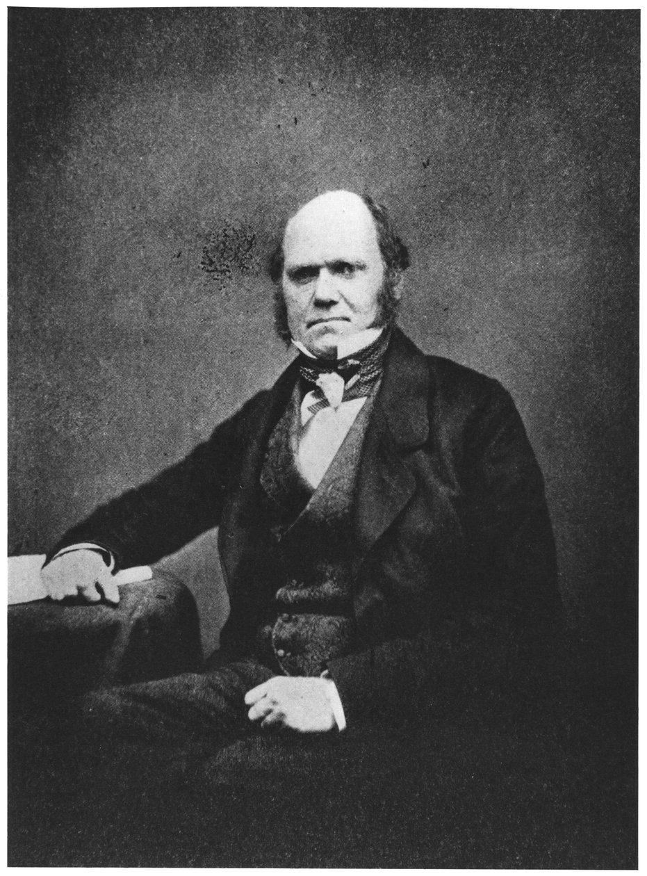 Charles Darwin portréja (1809-82) alkotó: French Photographer