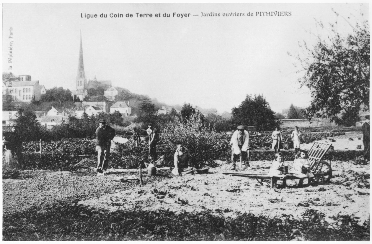 Képeslap, amely a Pithiviers-i munkások konyhakerteit ábrázolja 1914 előtt alkotó: French Photographer