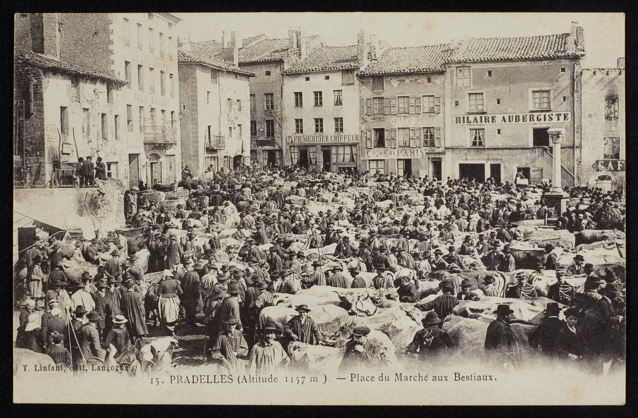 Képeslap, amely a Pradelles-i marhapiacot ábrázolja, 1900 körül alkotó: French Photographer