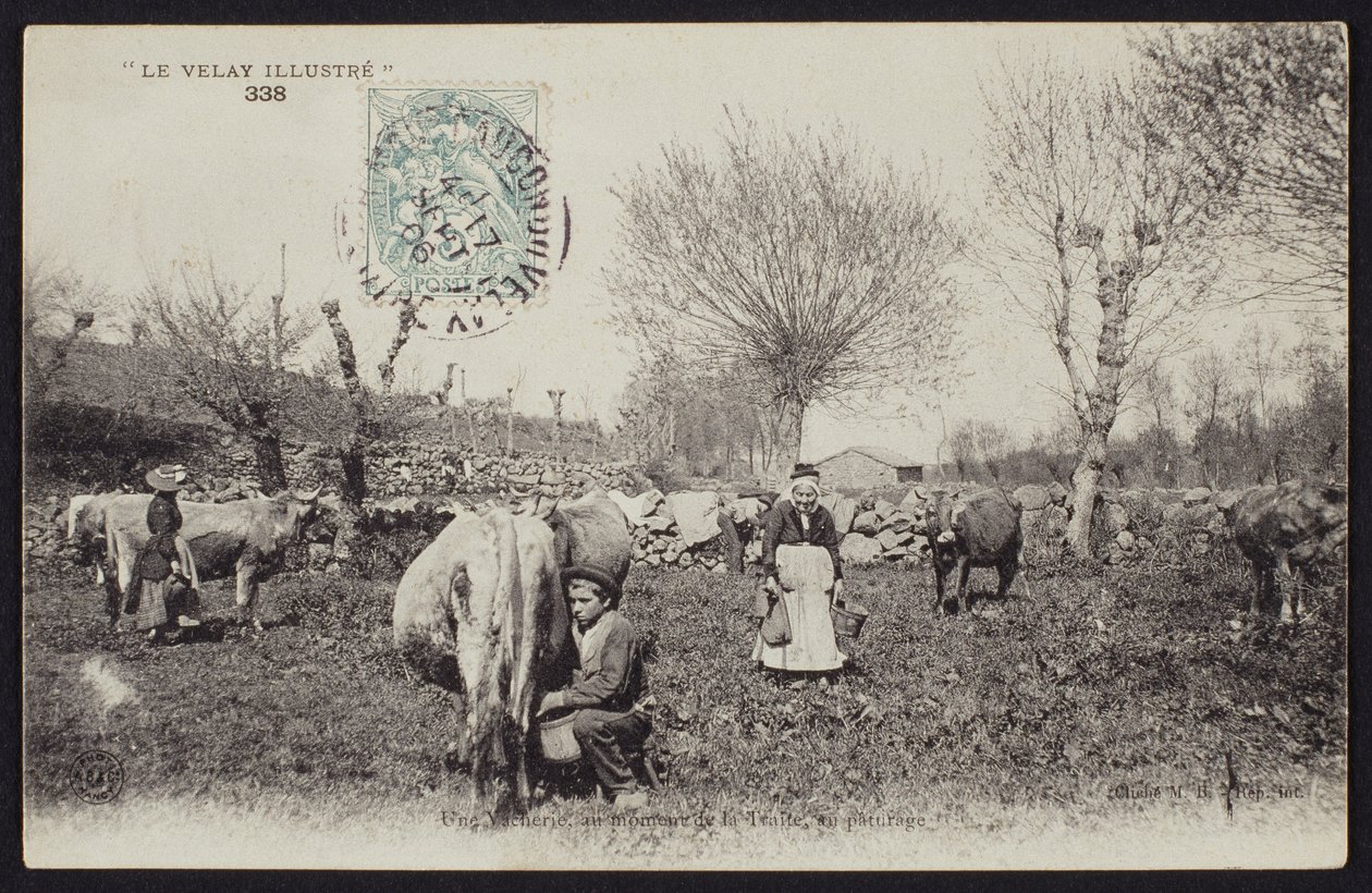 Képeslap, amely a fejési időt ábrázolja a Velay-ben, 1900 körül alkotó: French Photographer