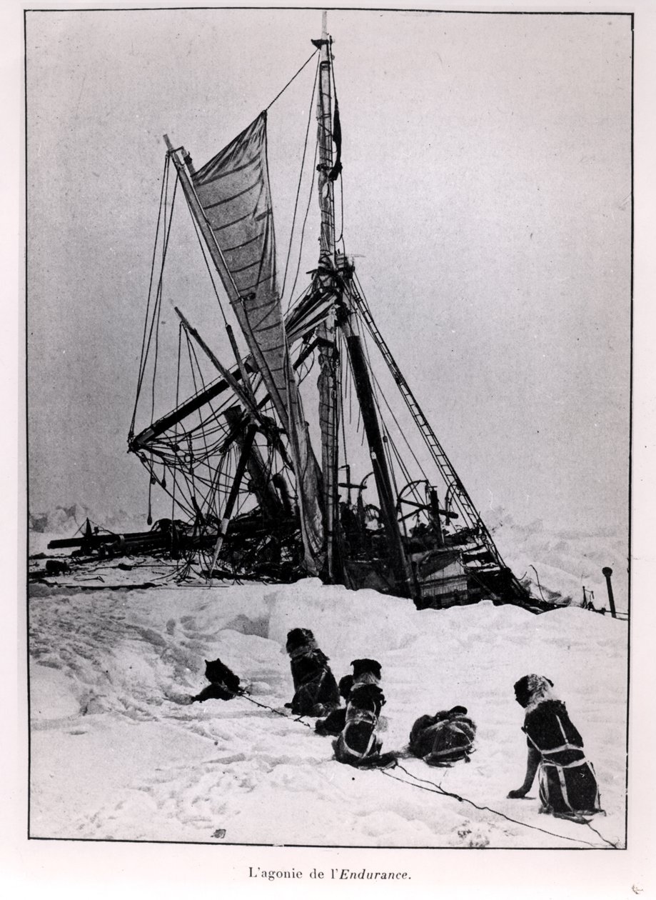 A kitartás agóniája, Ernest Shackleton (1874-1922) expedíciója a Déli-sarkra 1914-1917 alkotó: French Photographer