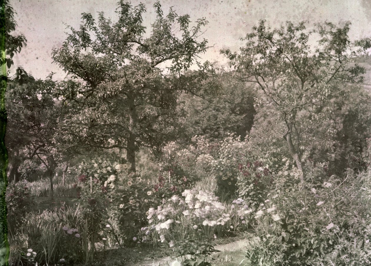 Giverny látképe, Monet kertje, 1920-as évek eleje alkotó: French Photographer