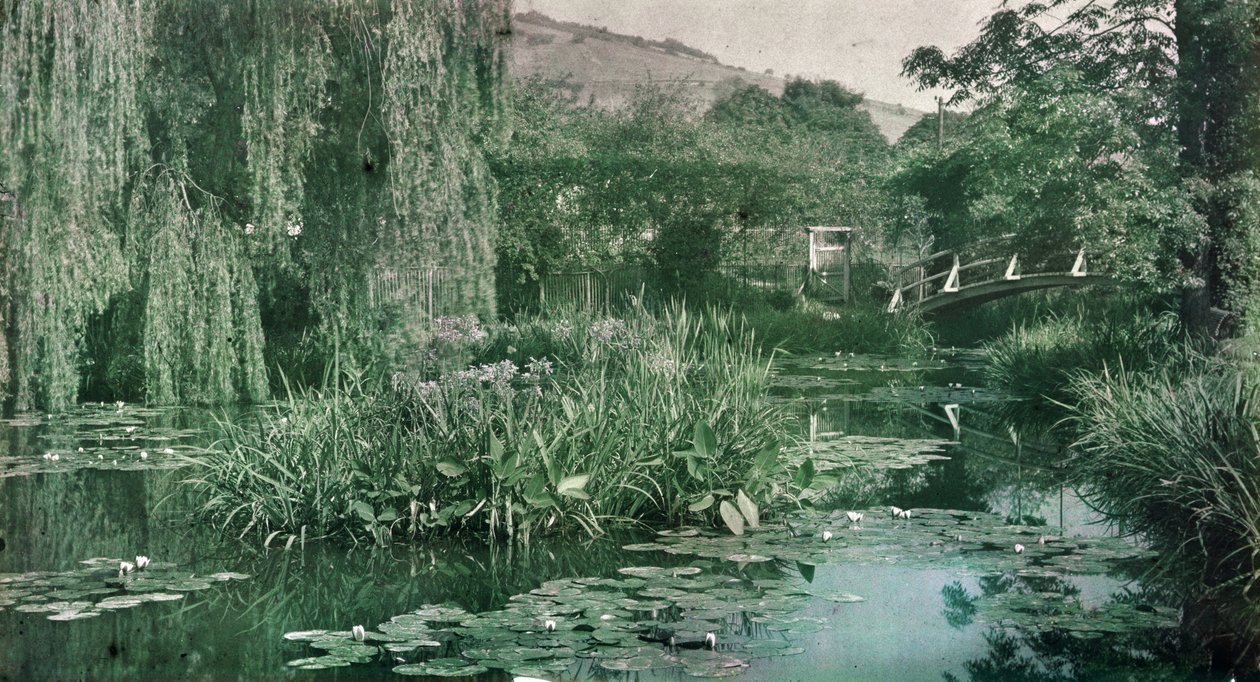 Tavirózsa-tó és japán híd Monet kertjében Givernyben, az 1920-as évek elején (fotó) alkotó: French Photographer