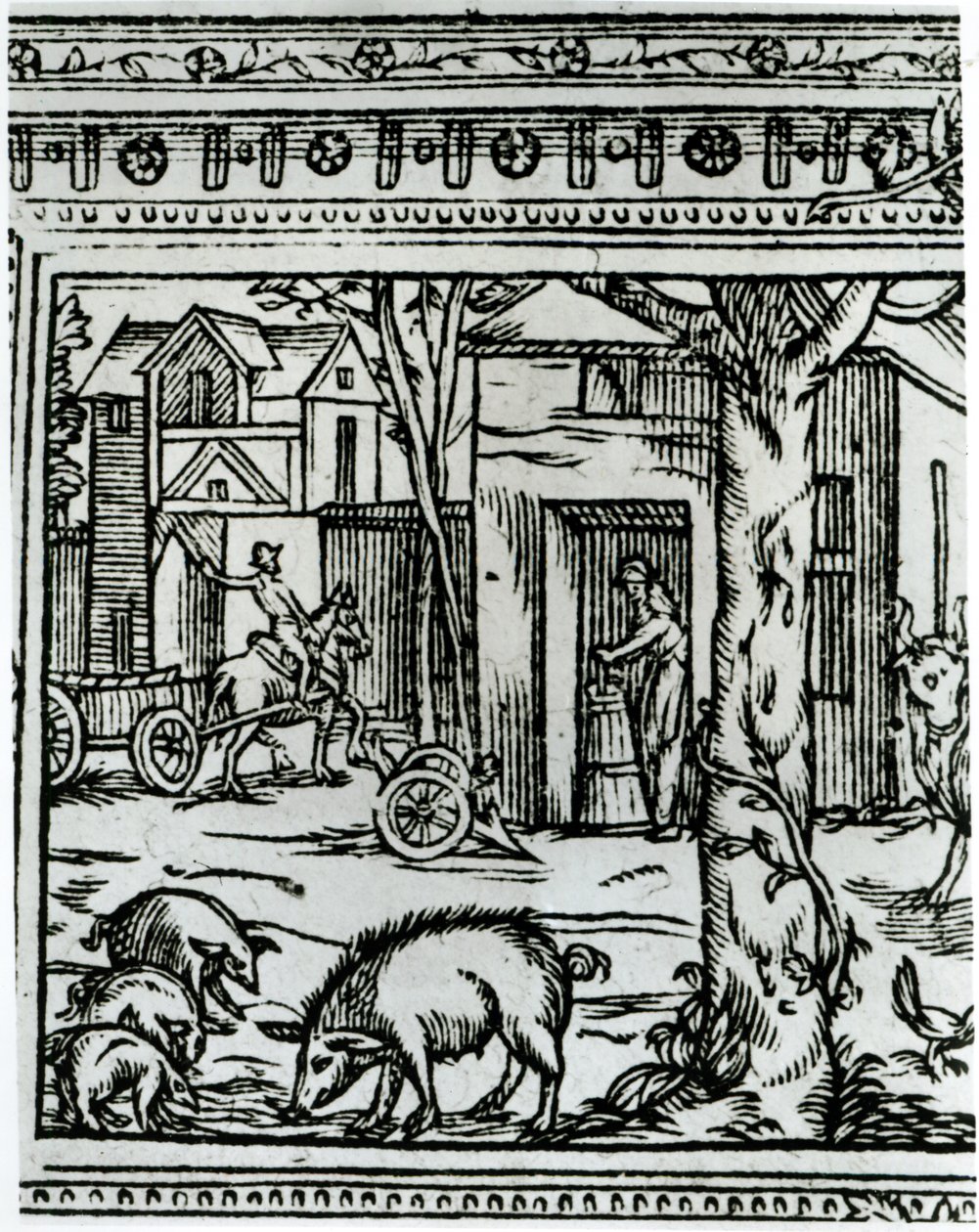 Egy farm, Olivier de Serres (1539-1619) „Theater d