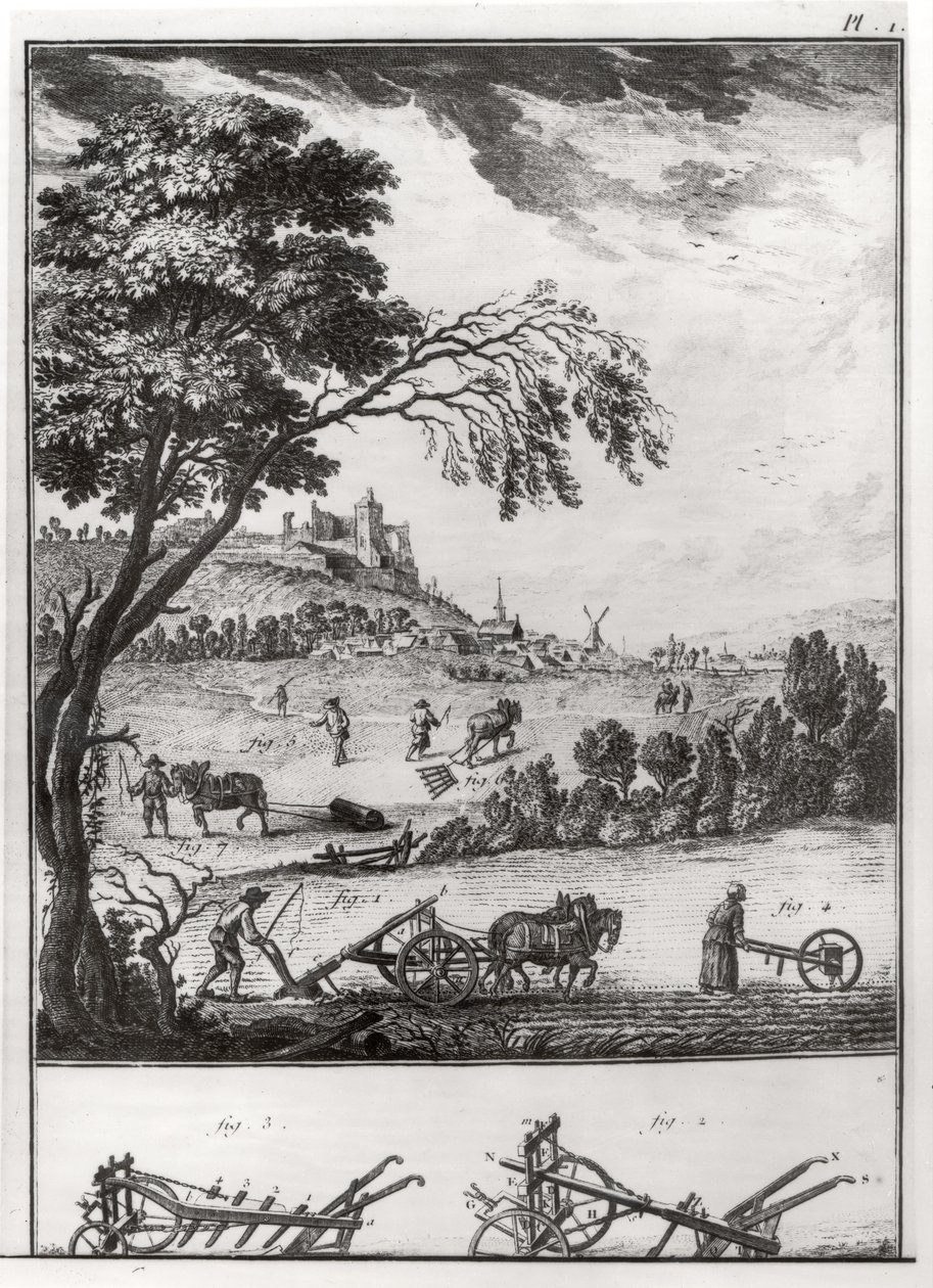 Mezőgazdaság, I. tábla Denis Diderot (1713-84) enciklopédiájából, 1762 alkotó: French School