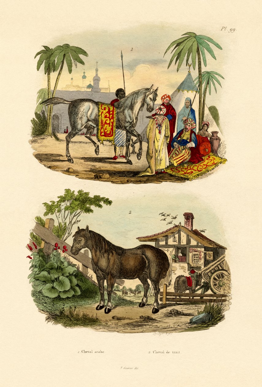 Arab Ló, 1833-39 alkotó: French School