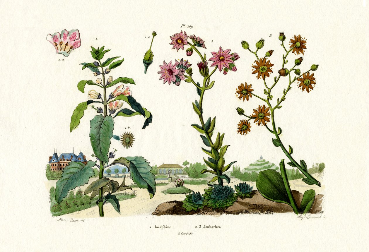 Bloodstones, 1833-39 alkotó: French School